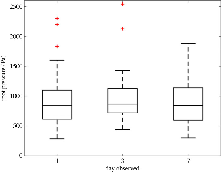 Figure 12. 