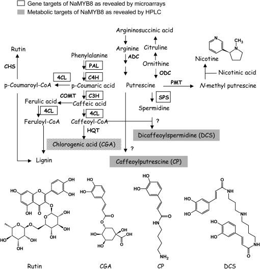 Figure 7.