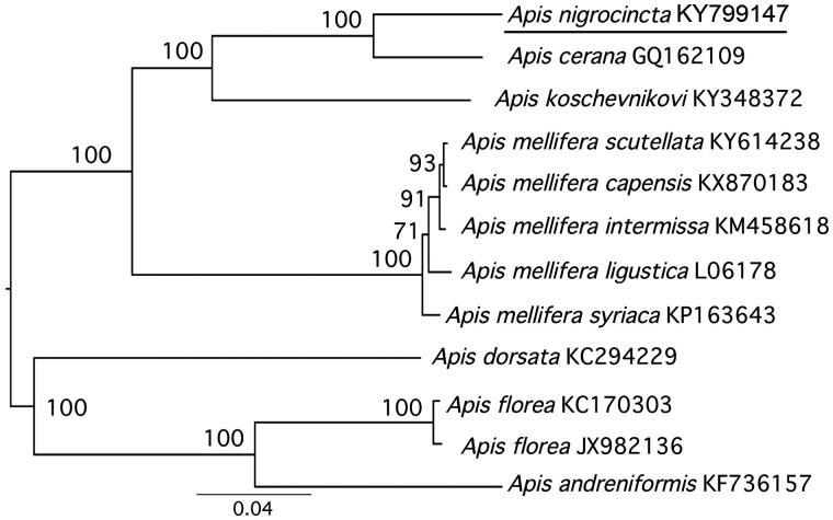 Figure 1.