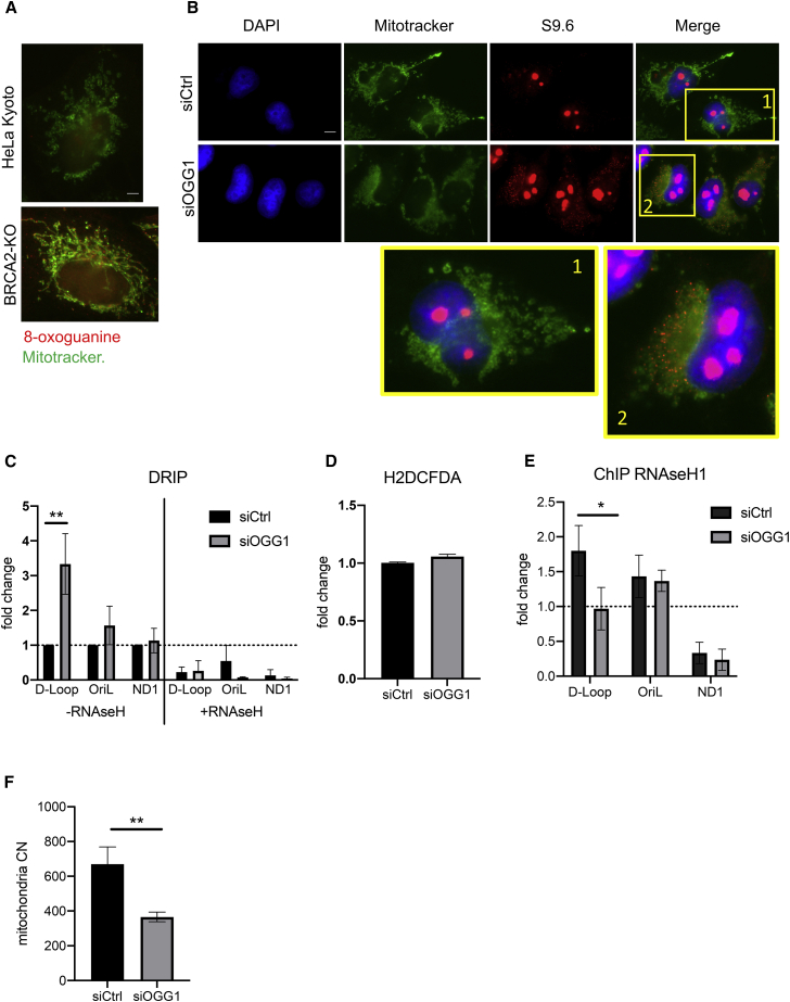 Figure 6