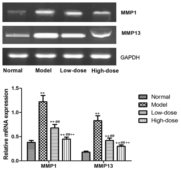 Figure 10.