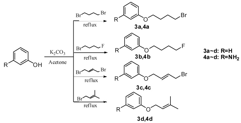 Scheme 2