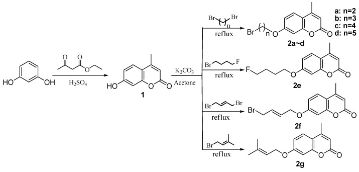 Scheme 1