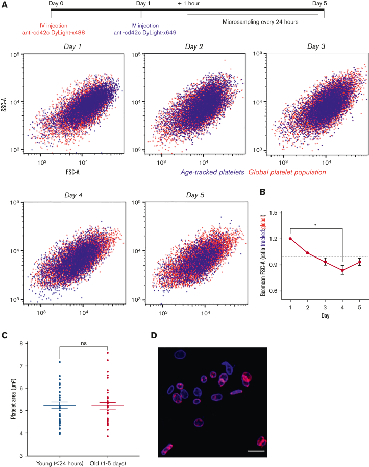 Figure 4.