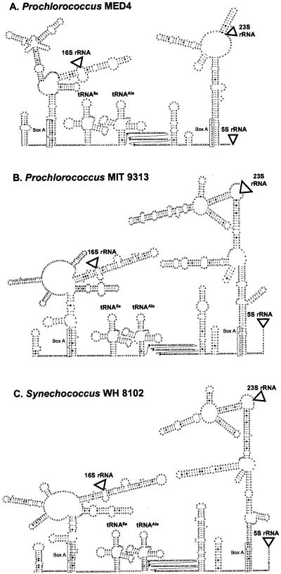 FIG. 2.