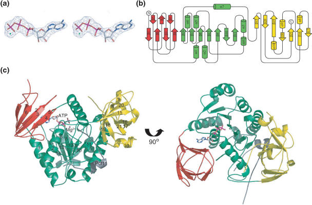 Figure 2