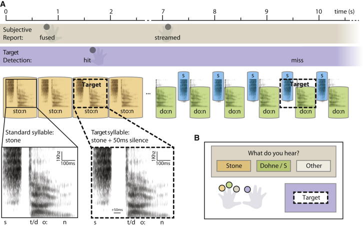 Figure 1