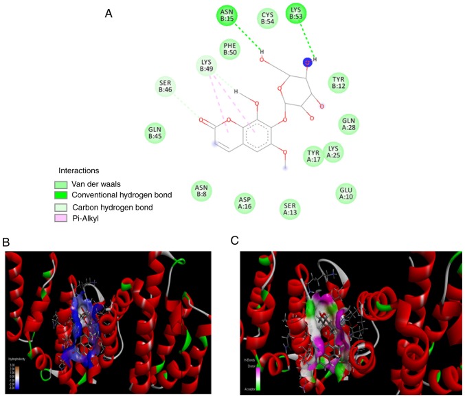 Figure 6