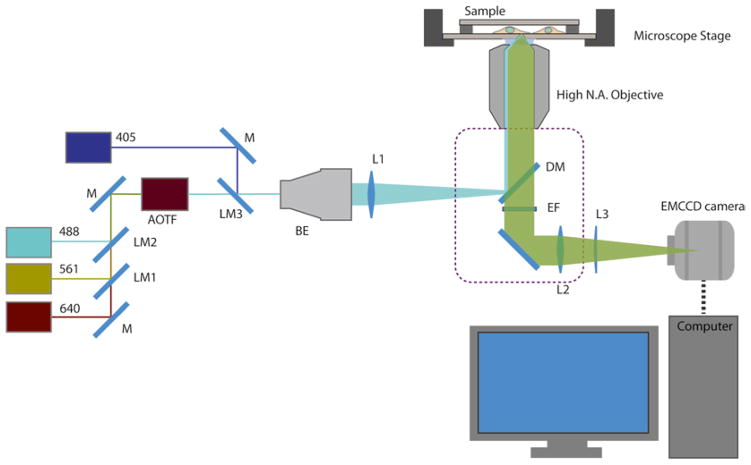 Fig. 3