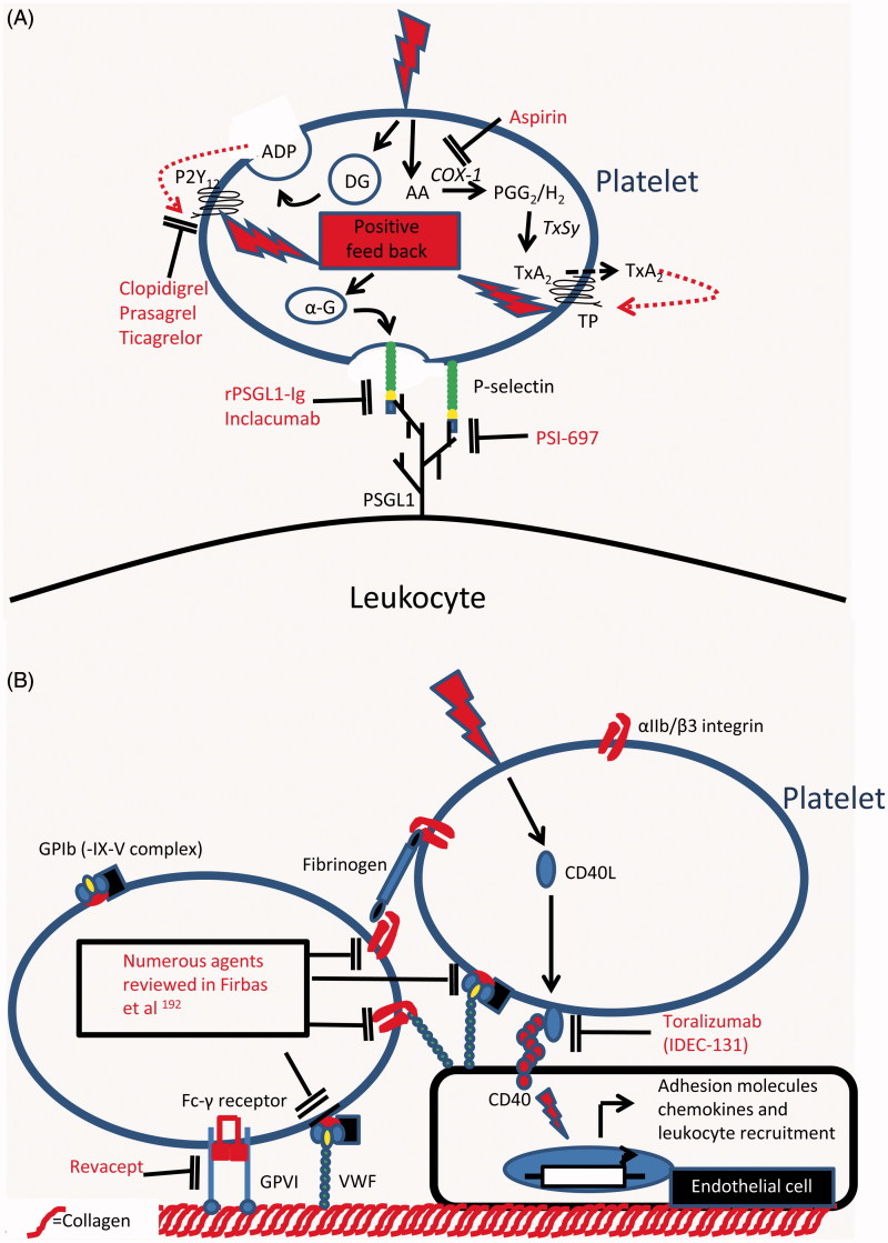 Figure 3. 