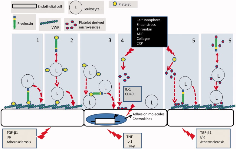 Figure 2. 