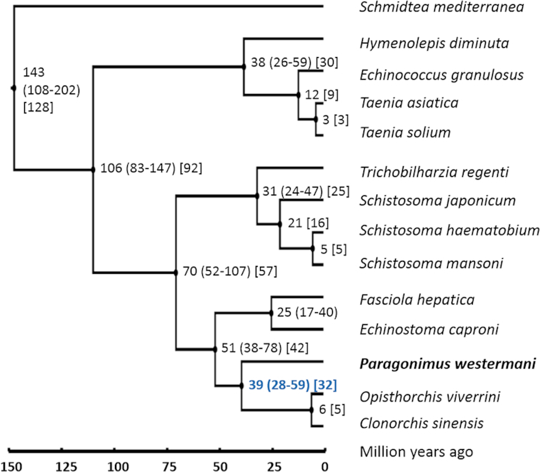 Figure 4: