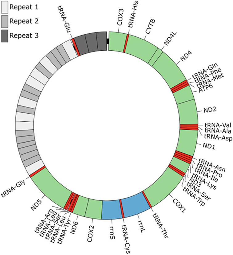 Figure 2: