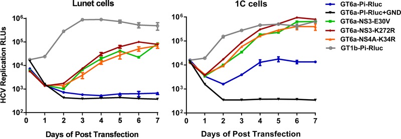 FIG 4