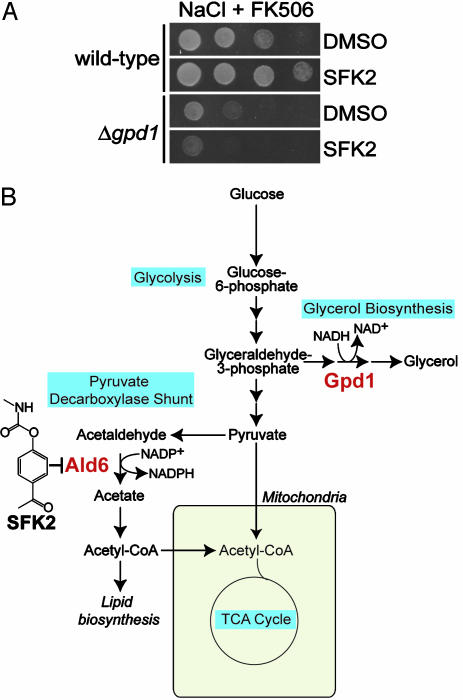 Fig. 5.