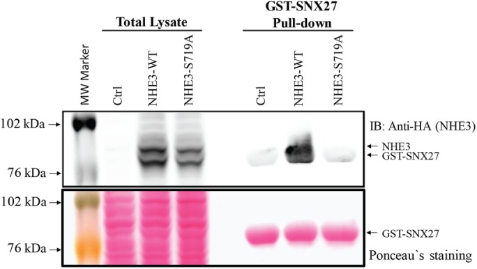 FIGURE 6: