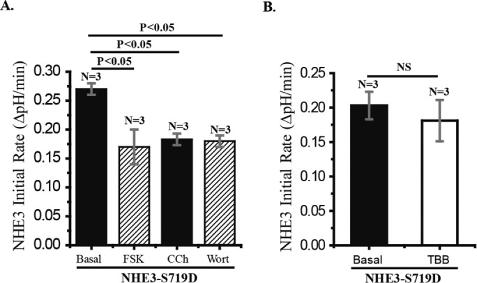 FIGURE 5: