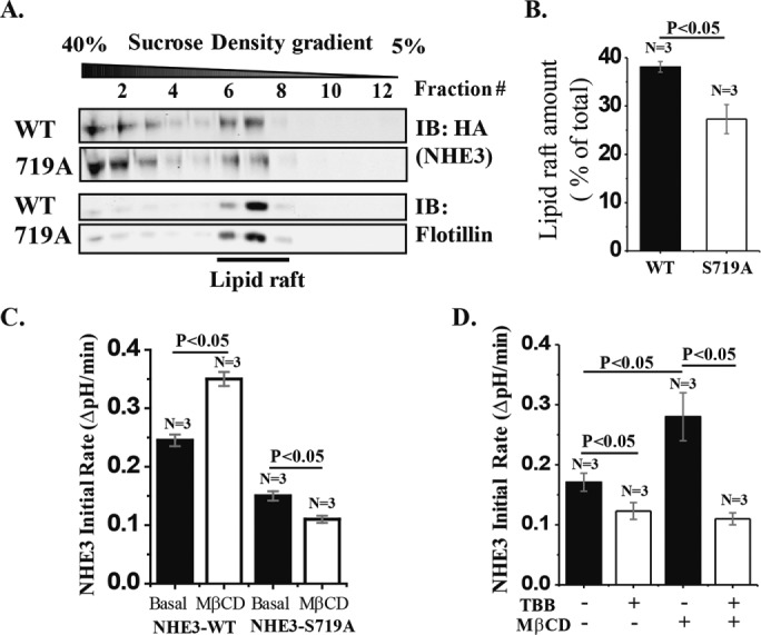 FIGURE 10: