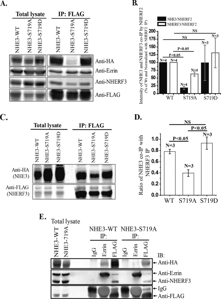 FIGURE 7: