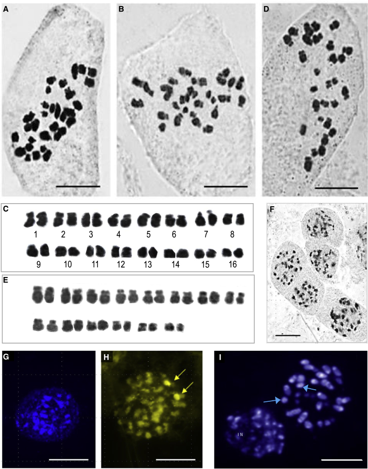 Figure 2