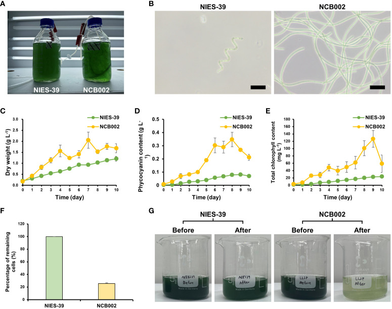 Figure 4