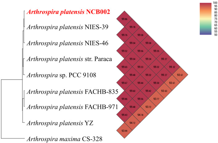Figure 3