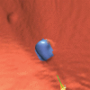 Figure 1c: