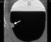 Figure 1a: