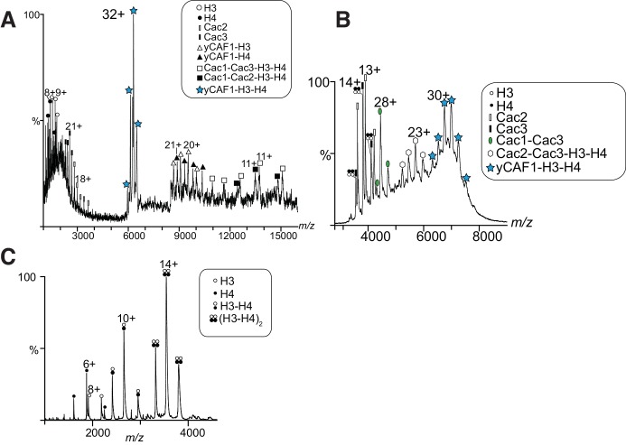 Figure 1—figure supplement 2.