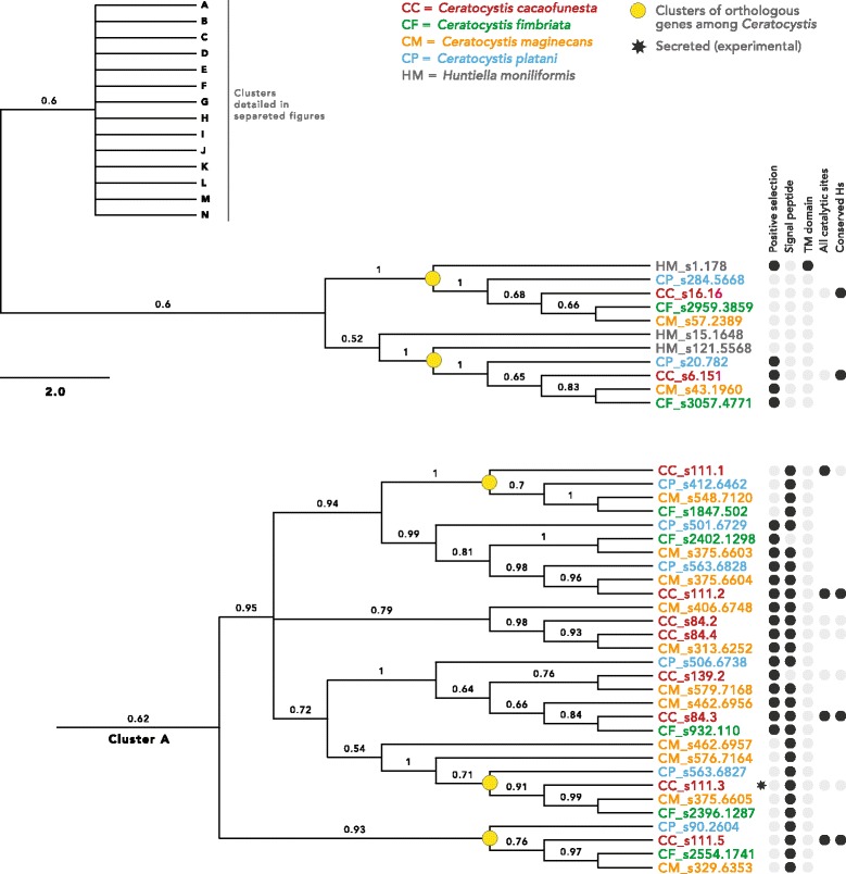 Fig.7