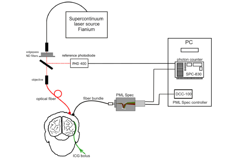 Fig. 2