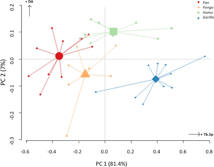 Figure 10