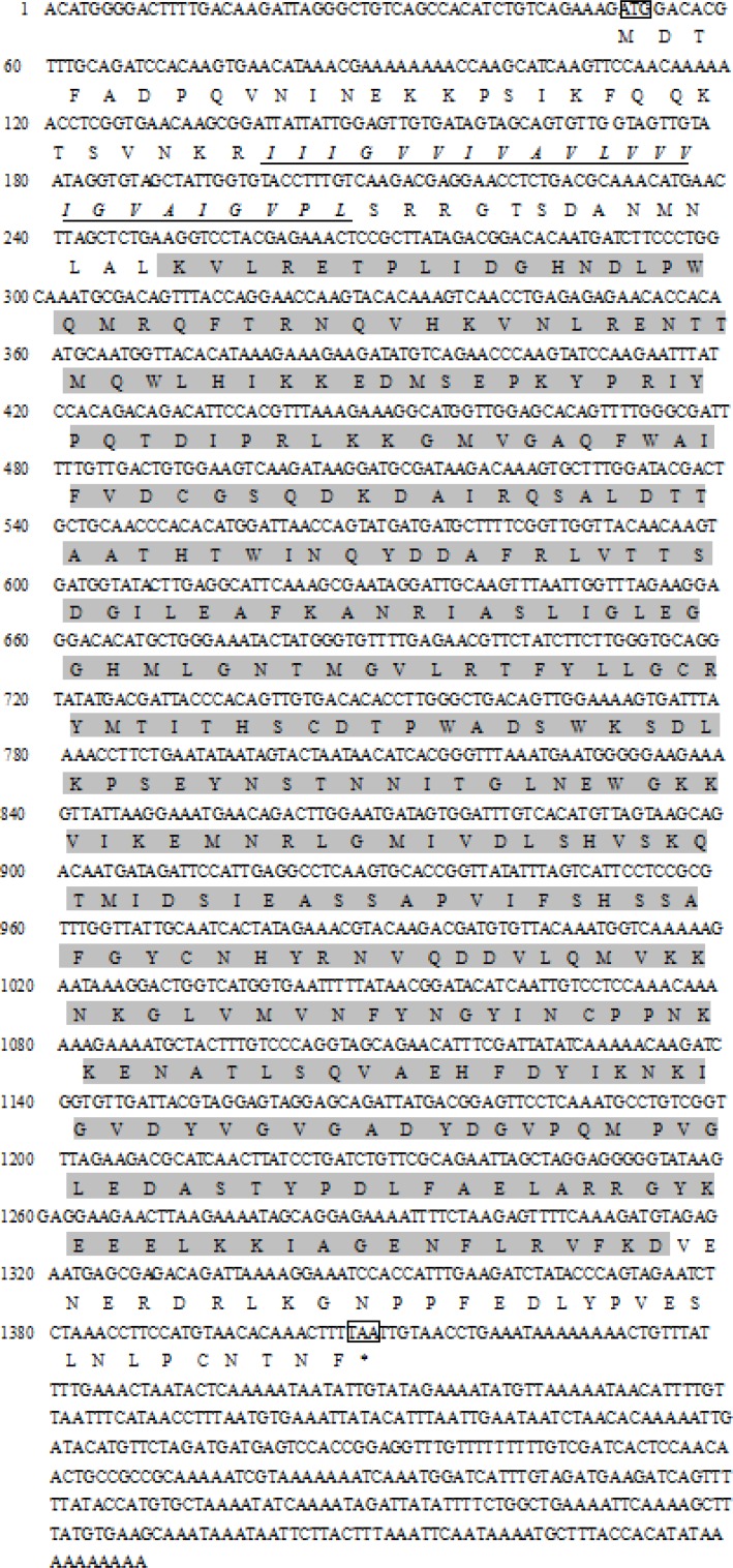 FIGURE 1