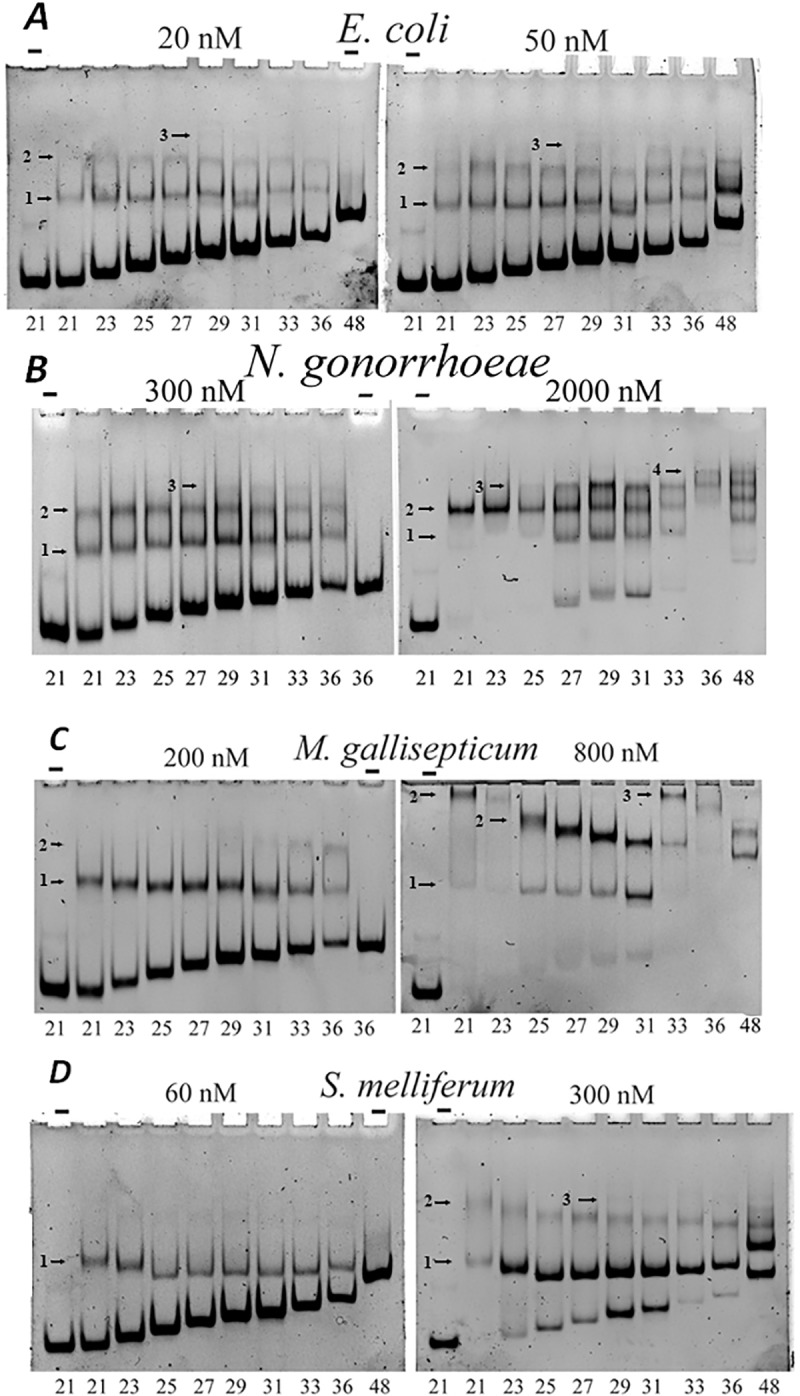 Fig 9