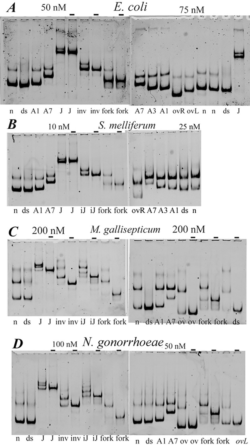 Fig 10