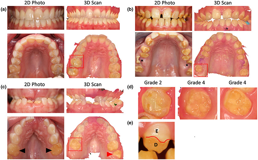 FIGURE 2