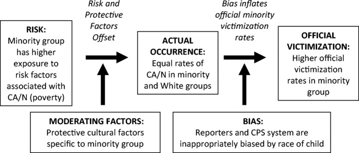 FIGURE 2. The bias model.