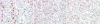 Figure 2d: