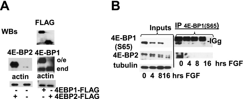 Fig. S4.