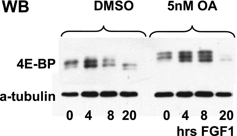 Fig. S6.