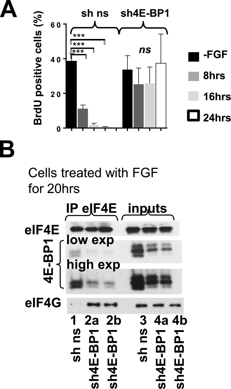 Fig. S5.