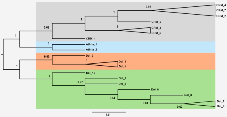 Fig. 2