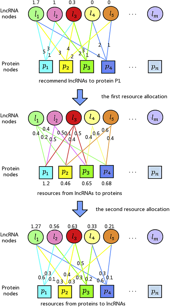 Figure 3