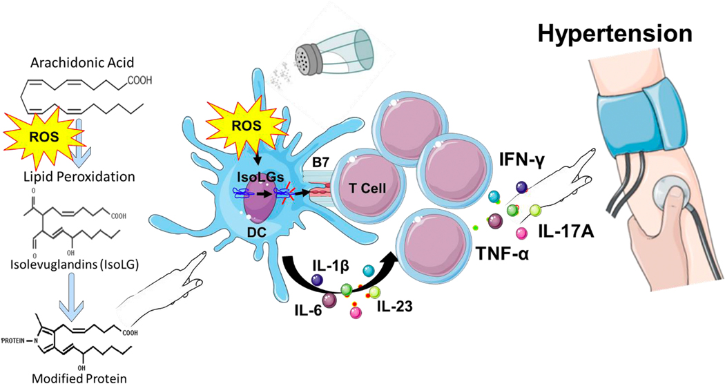 Figure 2: