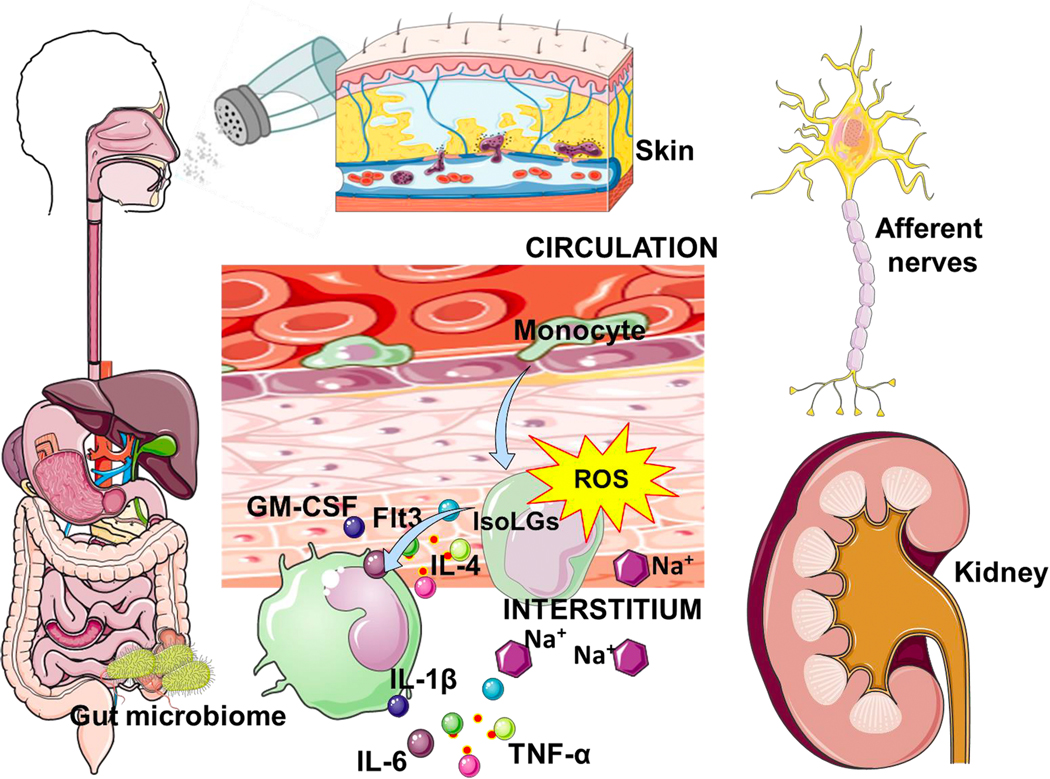 Figure 3: