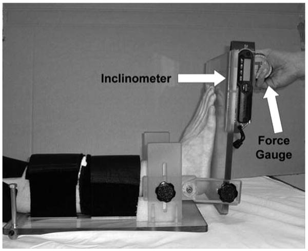 Fig. 1