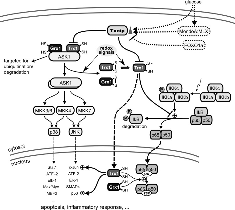 FIG. 8.