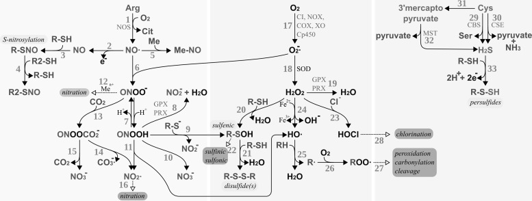 FIG. 6.