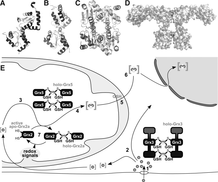 FIG. 9.