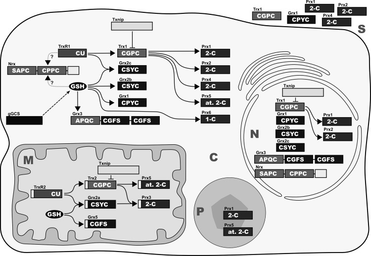 FIG. 5.